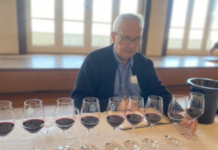 The 2020 vintage in Bordeaux