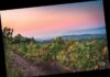 Addresses for your wanderings through The Rhône Valley.