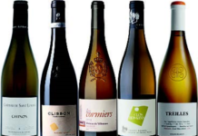 Loire, 42 wines and everything becomes clearer