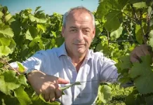 Grand Tasting of Great Wines. Albert Bichot.