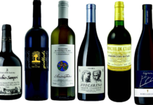 Italian wines | The charm of the beautiful stranger Italians wines