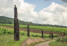 Clos du Zahnacker I the Garden of Alsace